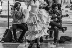 Flamenco-2022-2549-2